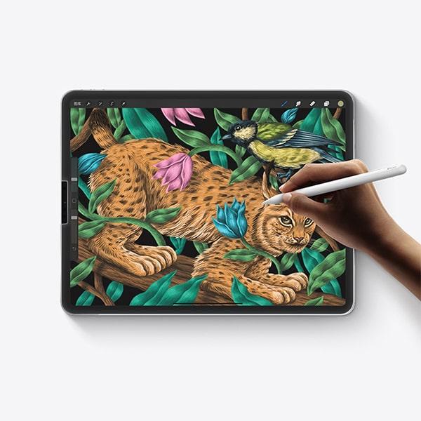 Miếng Dán Màn Hình iPad Pro