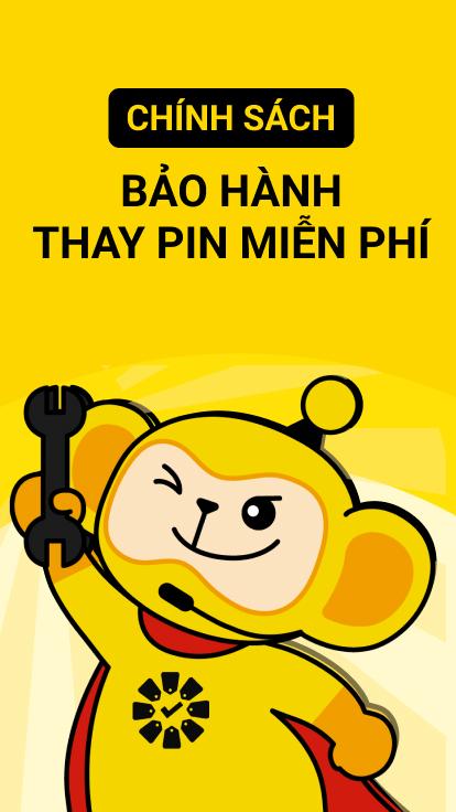 CHÍNH SÁCH THAY PIN