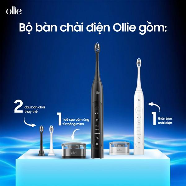 Đầu Bàn Chải Đánh Răng Điện OLLIE BH-SG-01-B Chính Hãng